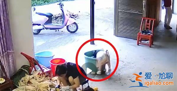一岁女童栽进洗澡桶溺水[洗澡桶溺水]？