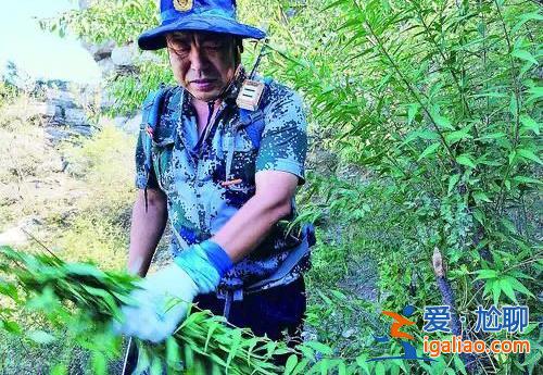 他在河道下游被发现 已经面目不清、但仍戴着“蓝天救援”的头盔？