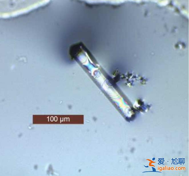 画句号？中科院发现“室温超导材料”假象根源 已发预印本论文？