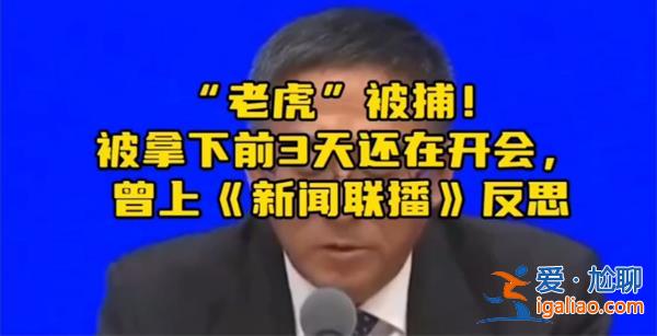 老虎被捕，曾上新闻联播，引起大家反思[反思与警示]？