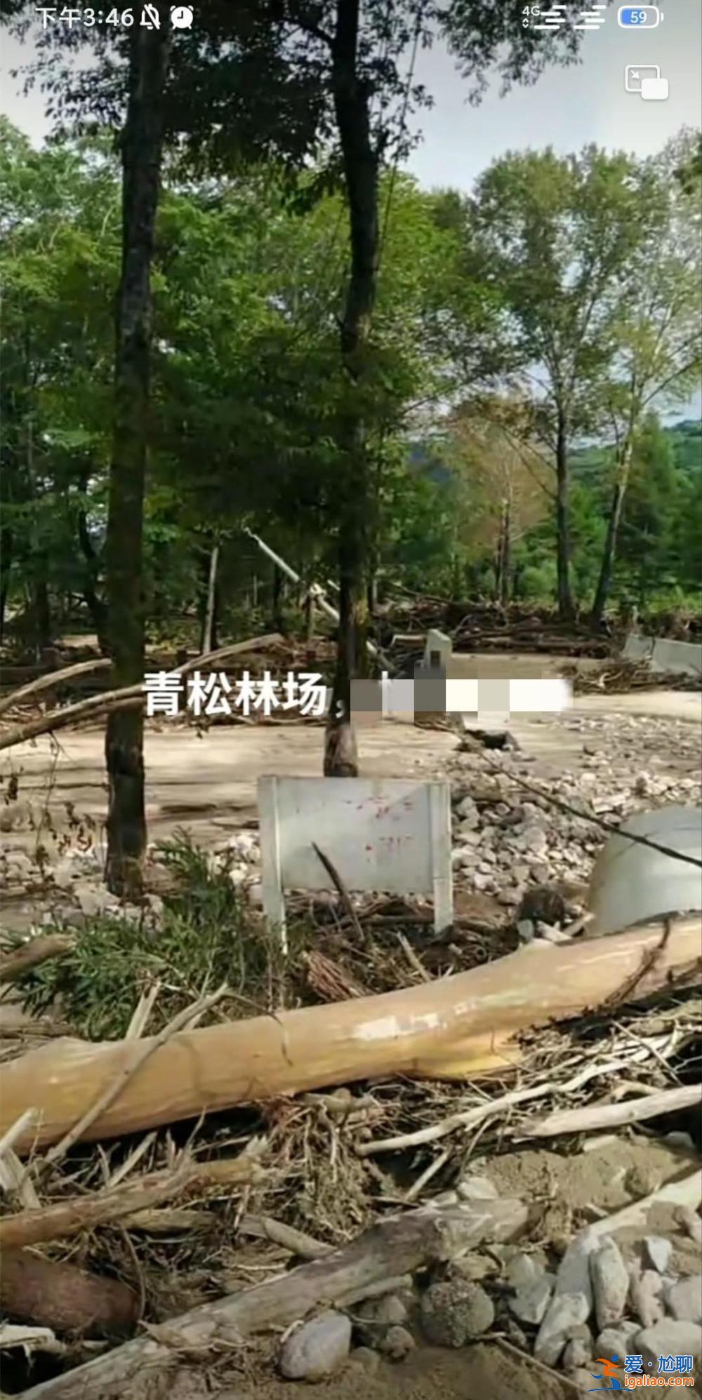 林场正在恢复生产 已经开始重建？