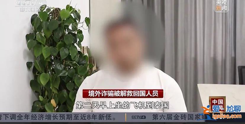 严厉打击！王毅、陈文清接连提到这一问题 公安部已出手？