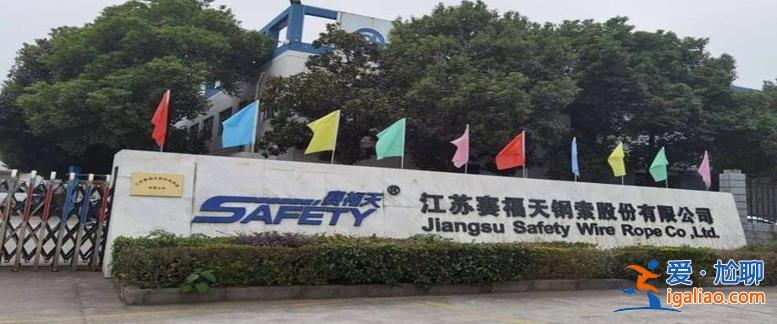 赛福天财务总监辞职 上半年业绩“双增”？