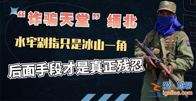 被骗到缅北的少年称自己快死在这了，被骗到缅北怎么办[被骗到缅北应对措施]？