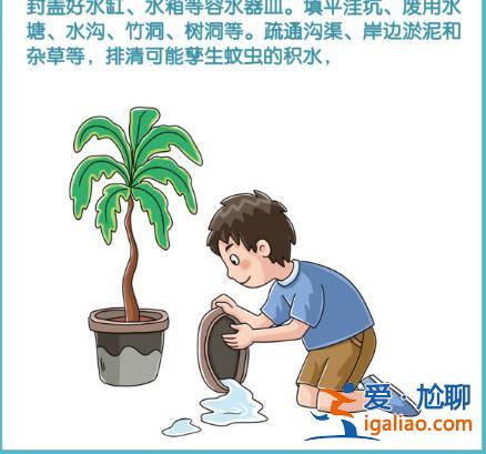 广东茂名出现2例输入性登革热病例？