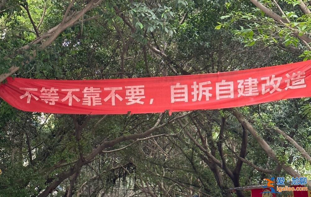无政策文件支持 业主同意率卡在99.99%？