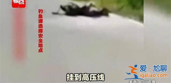男子钓鱼误碰高压线 全身焦黑 以下是男子触电原因？