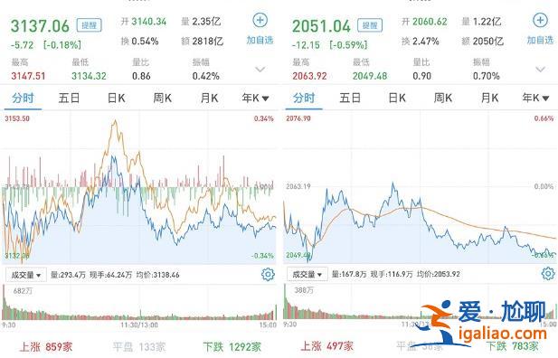 A股三大股指有何表现 窄幅震荡小幅低收 逾2900只股票收跌？