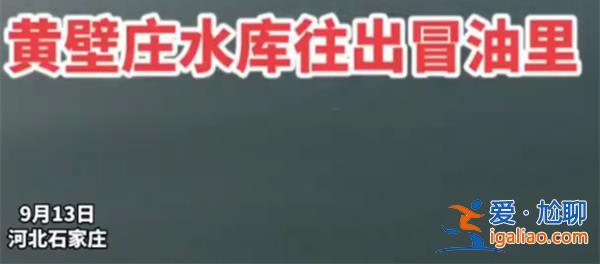 石家庄一水库不断冒油？