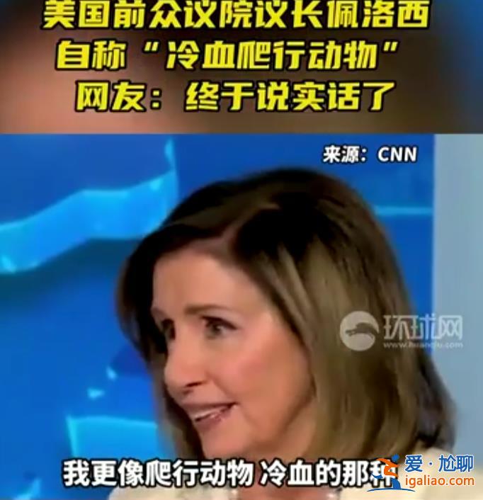 我更像爬行动物 冷血的那种！？