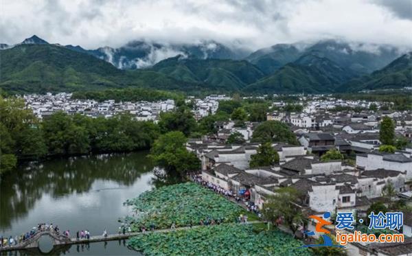 九名市（州）长进京检讨，以下是要其检讨的原因[进京]？