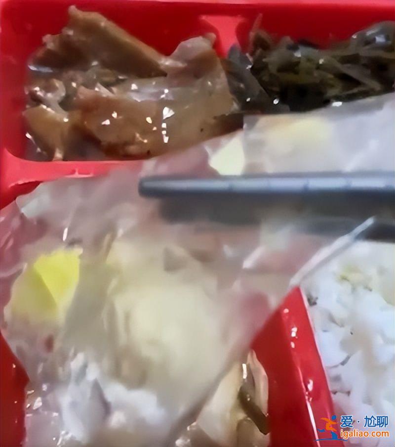 预制菜进校园？多地争议不断 有家长辞职送饭？