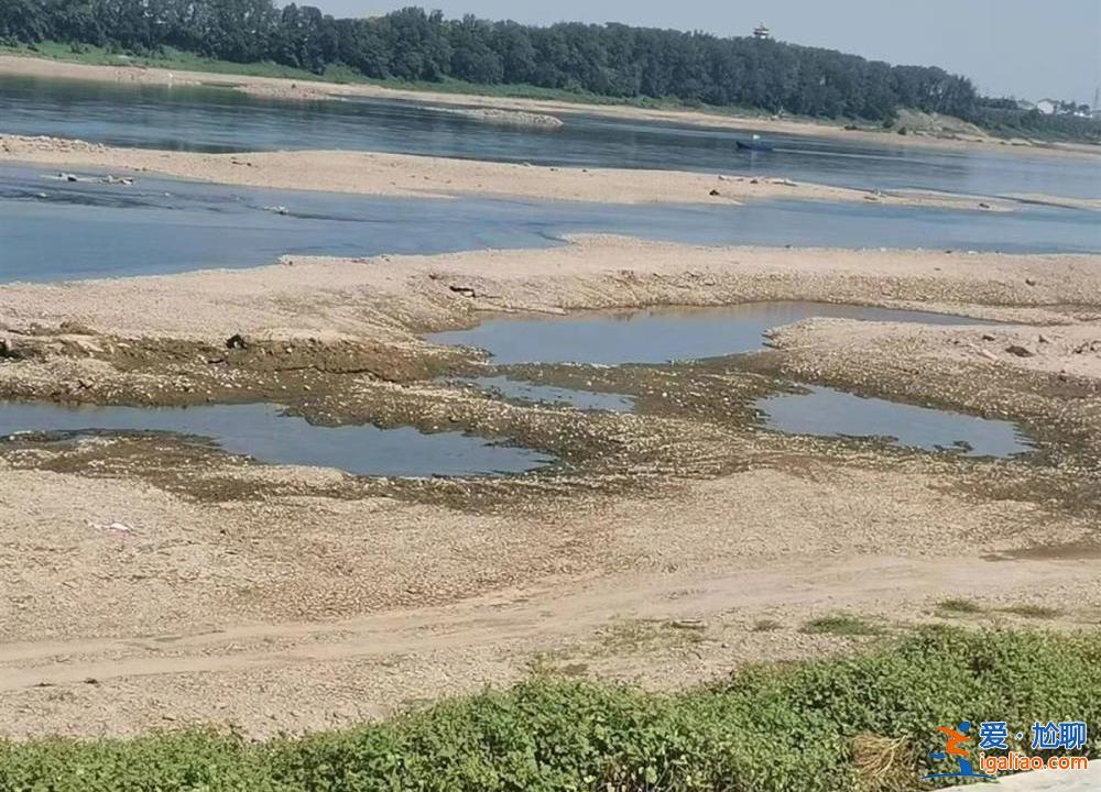 家长称事发前上游水电站排水量突增 水电站回应？