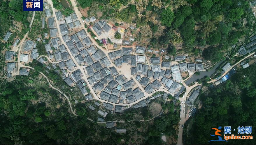 历经13年申遗 云南“普洱景迈山古茶林”列入世界遗产？