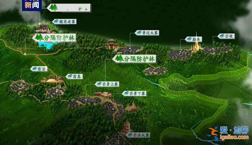 历经13年申遗 云南“普洱景迈山古茶林”列入世界遗产？