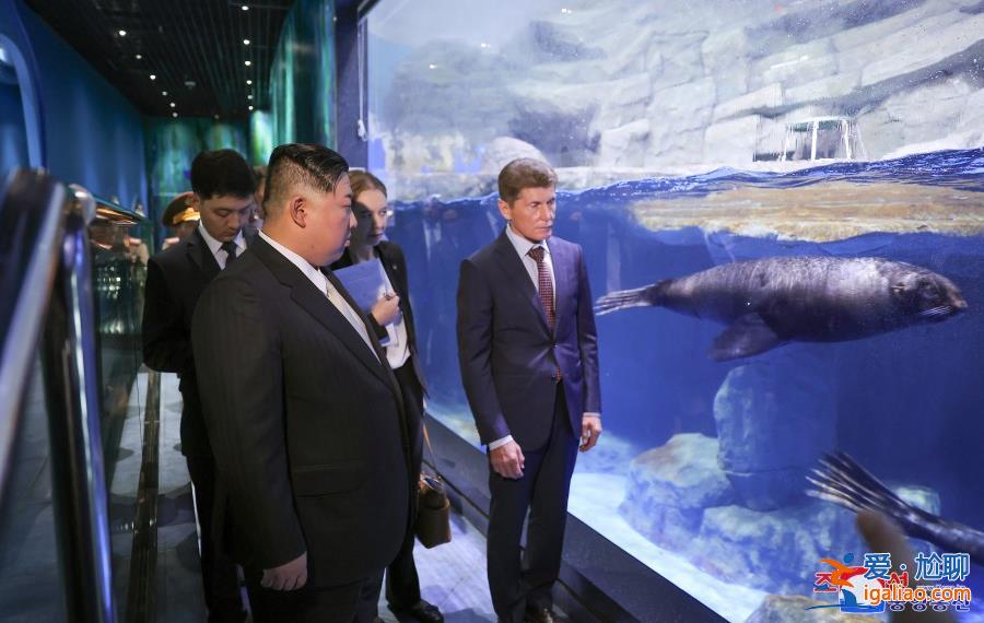 金正恩结束“最长出访” 妹妹金与正“全程低调”？