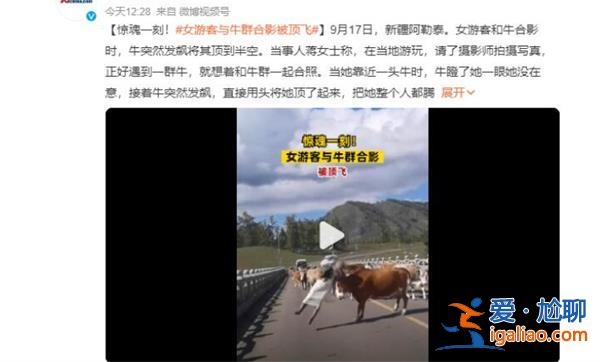 女子旅游与牛群合影被顶飞 以下是被牛顶飞原因? 女子旅游与牛群合影被顶飞 以下是被牛顶飞原因?