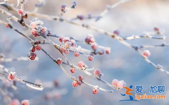 降雪降雨继续 你准备好秋衣秋裤了吗？？