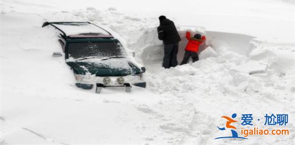 记者直击东北暴雪，因雪太大没去成暴雪到底有多大[直击]？