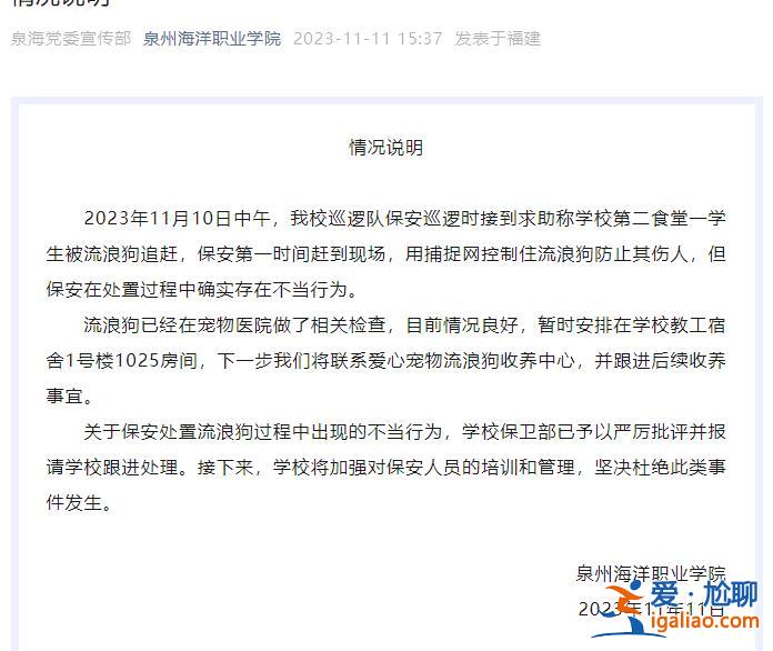 福建泉州一高校保安在处置流浪狗过程存在不当行为 校方通报？