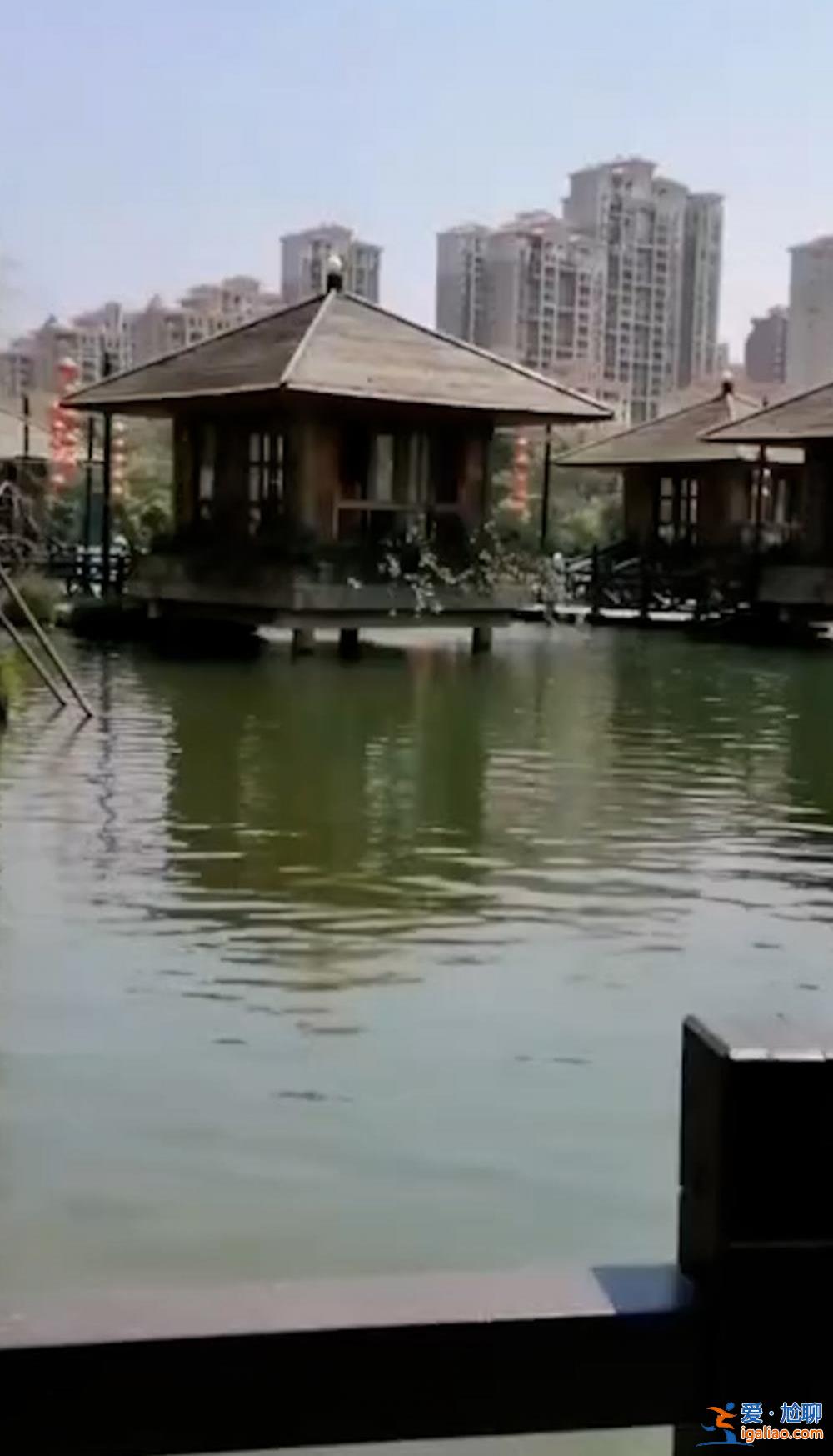 福建泉州市一区长水上餐厅就餐时落水身亡？当地政府办公室回应？