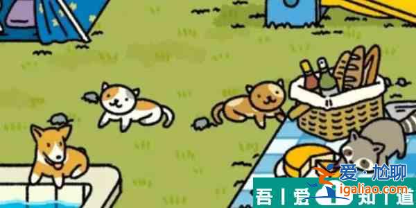 萌宅物语猫咪丢失了怎么办 萌宅物语猫咪丢失找回方法？