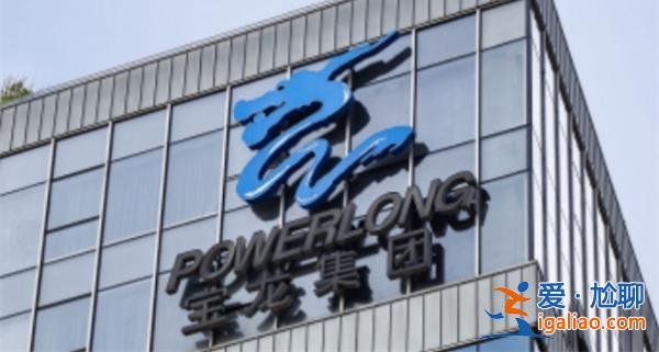 宝龙实业如何 未能如期支付21宝龙01本金 获30天宽限期? 宝龙实业如何 未能如期支付21宝龙01本金 获30天宽限期?
