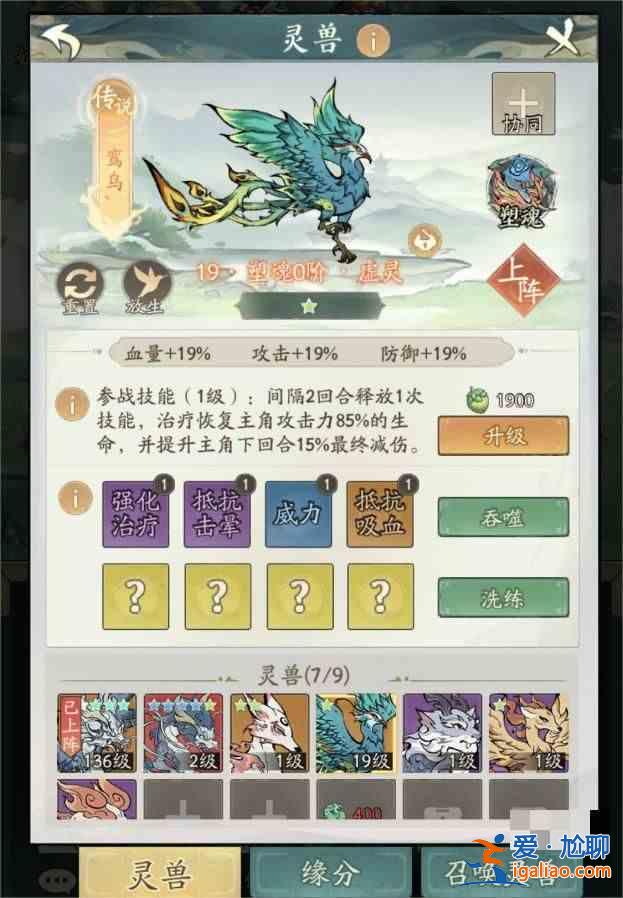 寻道大千闪避减伤流如何搭配？寻道大千闪避减伤流程指南？