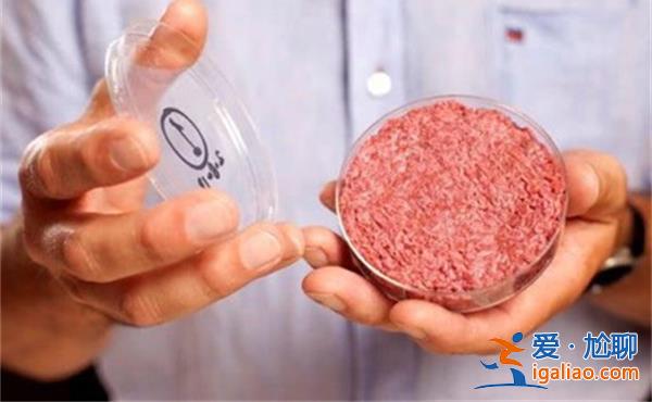 “植物肉”概念股怎么了 持续亏损 退潮？