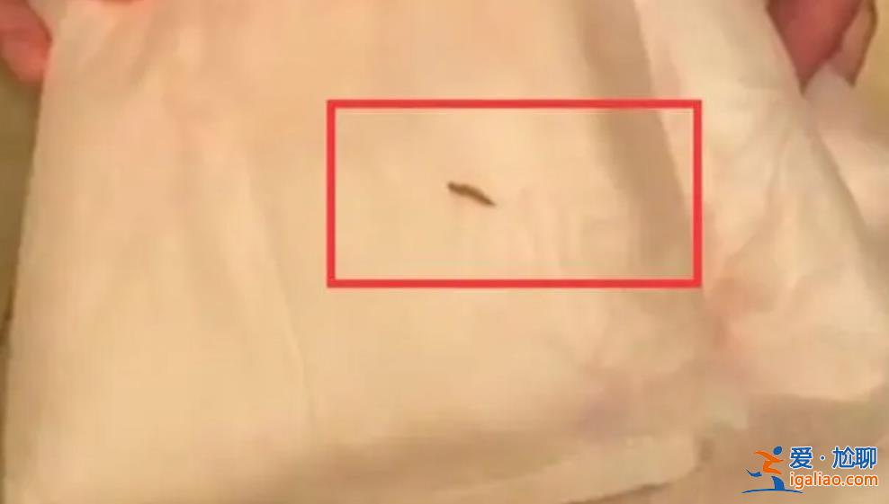 女子称买苏菲安睡裤内有虫蠕动[虫蠕动]？