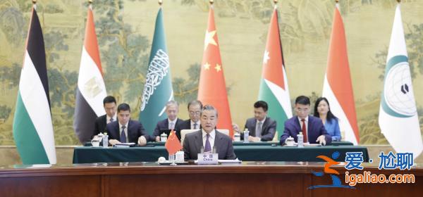王毅同阿拉伯、伊斯兰国家外长联合代表团会谈？