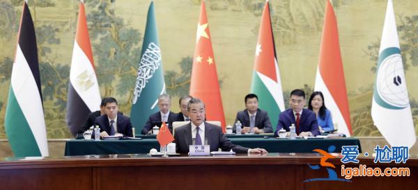 王毅同阿拉伯、伊斯兰国家外长联合代表团会谈？