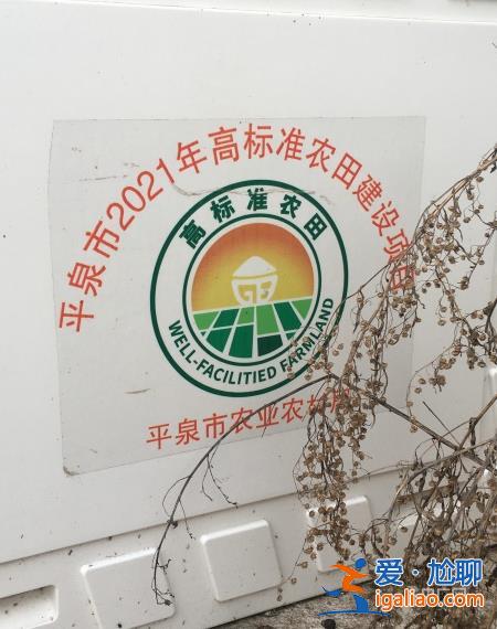 多数机井不能用、灌溉难造成作物减产 河北平泉建设的高标准农田为何不达标？？