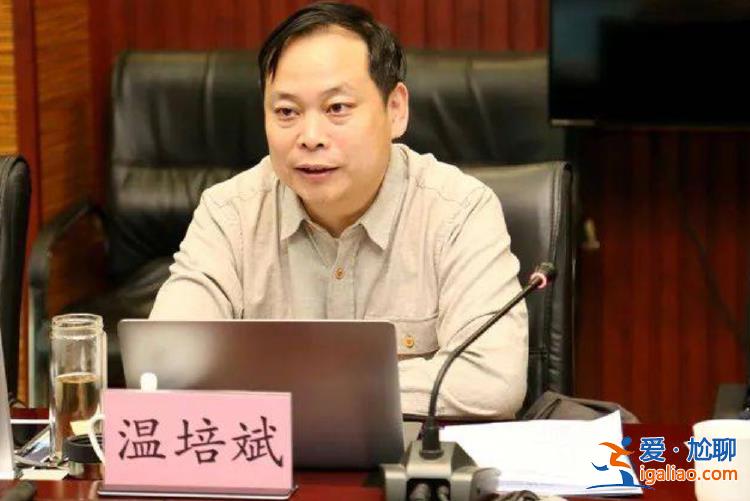 上午参加全省警示教育大会 下午主动投案的他 案件细节披露？