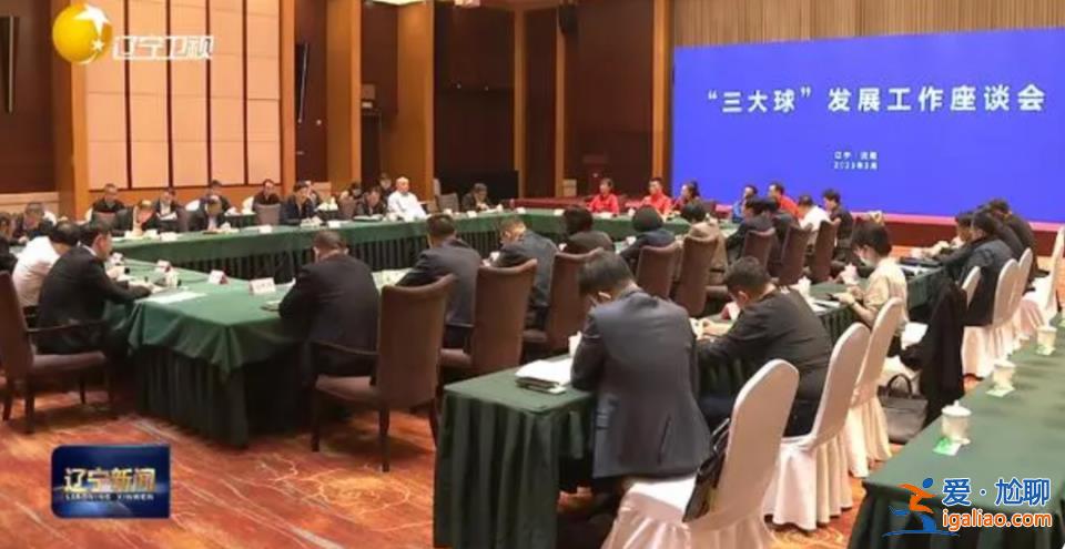 “净化生态、铁腕反腐”！足球大省开会 原国足队员孙继海、肇俊哲参会？
