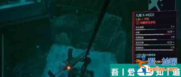 赛博朋克2077九尾X？