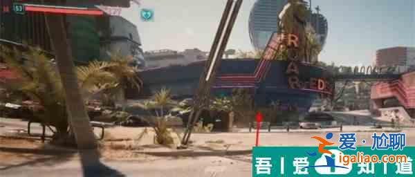 赛博朋克2077九尾X？