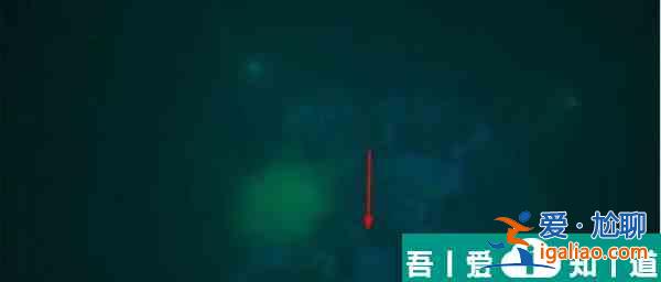 赛博朋克2077九尾X？