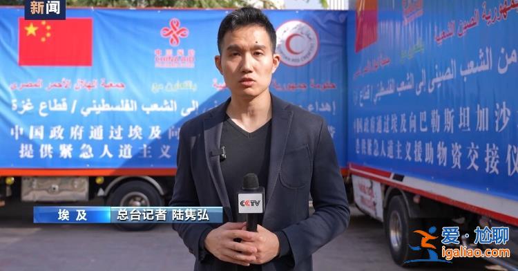 中国援加沙地带物资交接证书签字仪式举行？