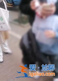 还在找狗主人？