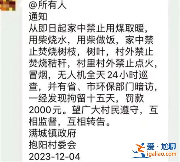 河北某镇禁止村民烧柴做饭了吗，镇政府辟谣[村民]？