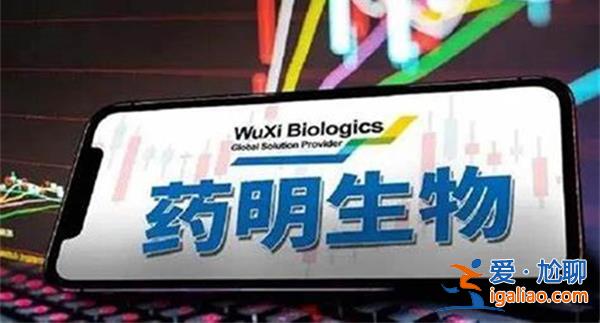 药明生物全年业绩不及预期，医药外包行业国际竞争日益激烈[日益激烈]？