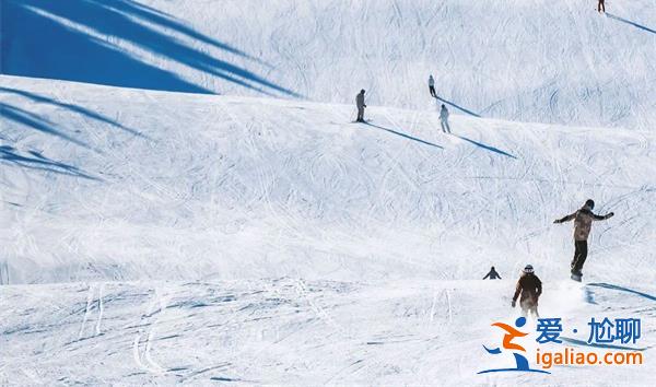 雪后世界已经变成巨大的滑雪场了吗，采取措施保障安全[巨大的滑雪场]？