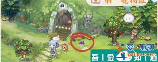 奥比岛手游暗夜袭击理真诱拐事件怎么过 具体一览？