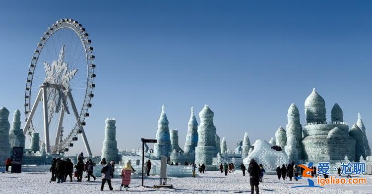 哈尔滨冰雪大世界开园首日预约人数达4万 已暂停当日售票？