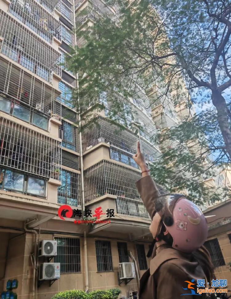 福建漳州一小区高层阳台外装饰块脱落 男童被砸中遇难？