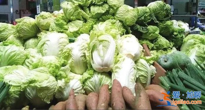 今冬蔬菜为何会跌出“白菜价”，蔬菜为什么这么便宜[白菜价]？