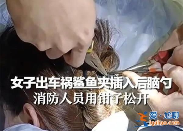 女子出车祸鲨鱼夹为何会插入后脑勺，夹子为什么插入后脑[插入后脑]？