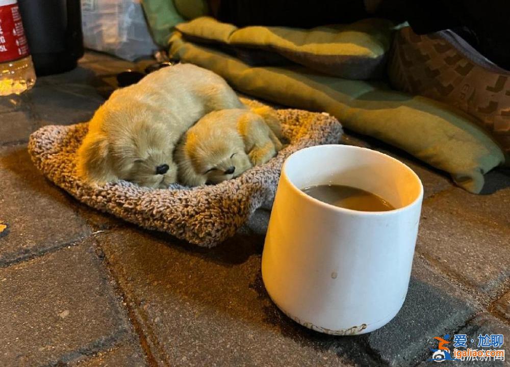 被指像丐帮 有主播称最高月入十万？
