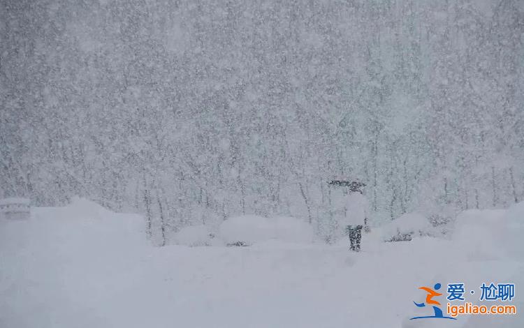 雪大到模糊！积雪最深达74厘米！四问山东半岛暴雪！？